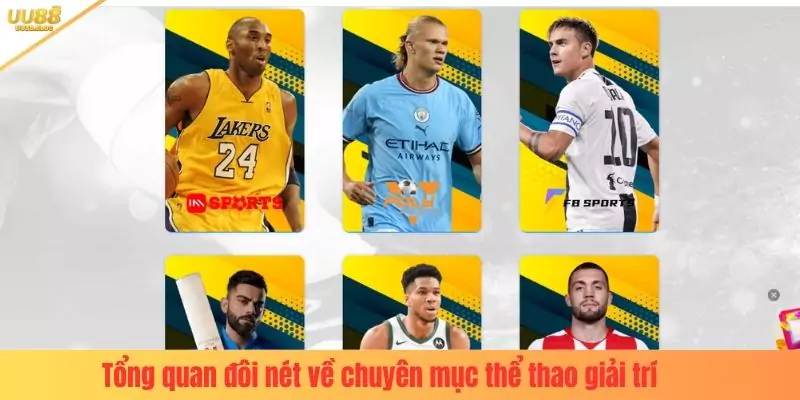 Tổng quan đôi nét về chuyên mục thể thao giải trí